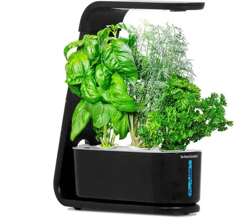 Aerogarden Sprout