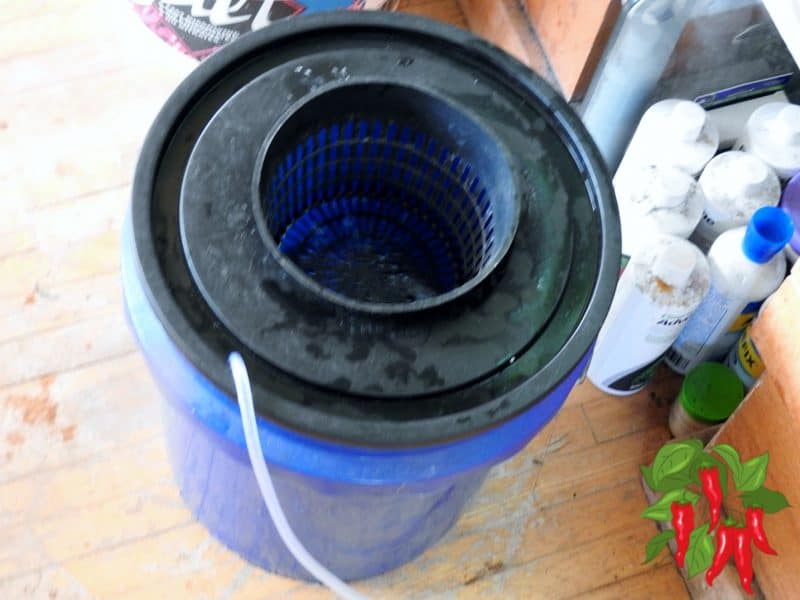 Bubble Bucket Hydroponics 