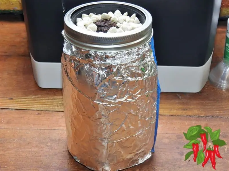 Kratky Method Mason Jar Lettuce