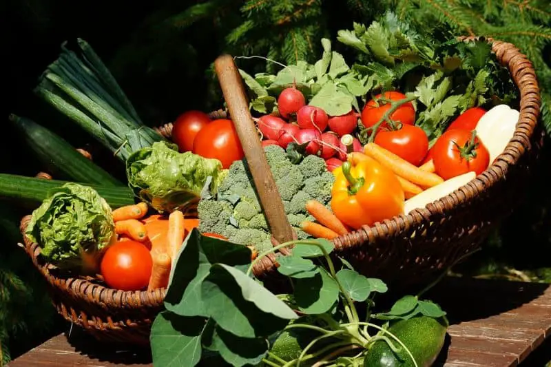 Growing Vegetables Indoors With Lights