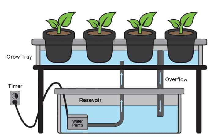 What Is A Hydroponic Reservoir? Hydroponic Reservoir For Flood And Drain System