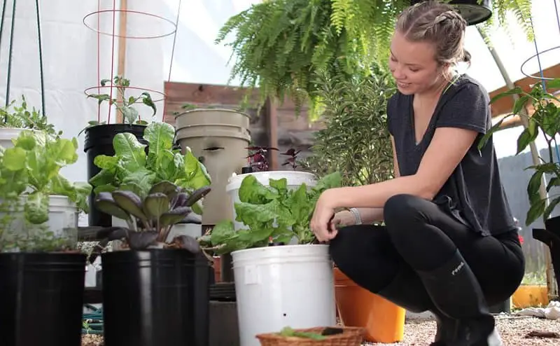 grobucket garden